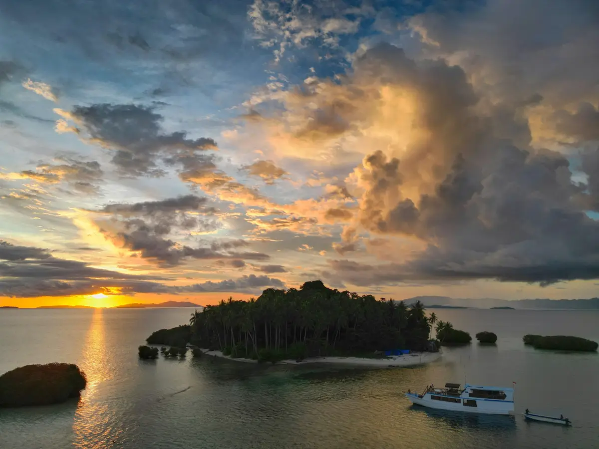 Bat Island