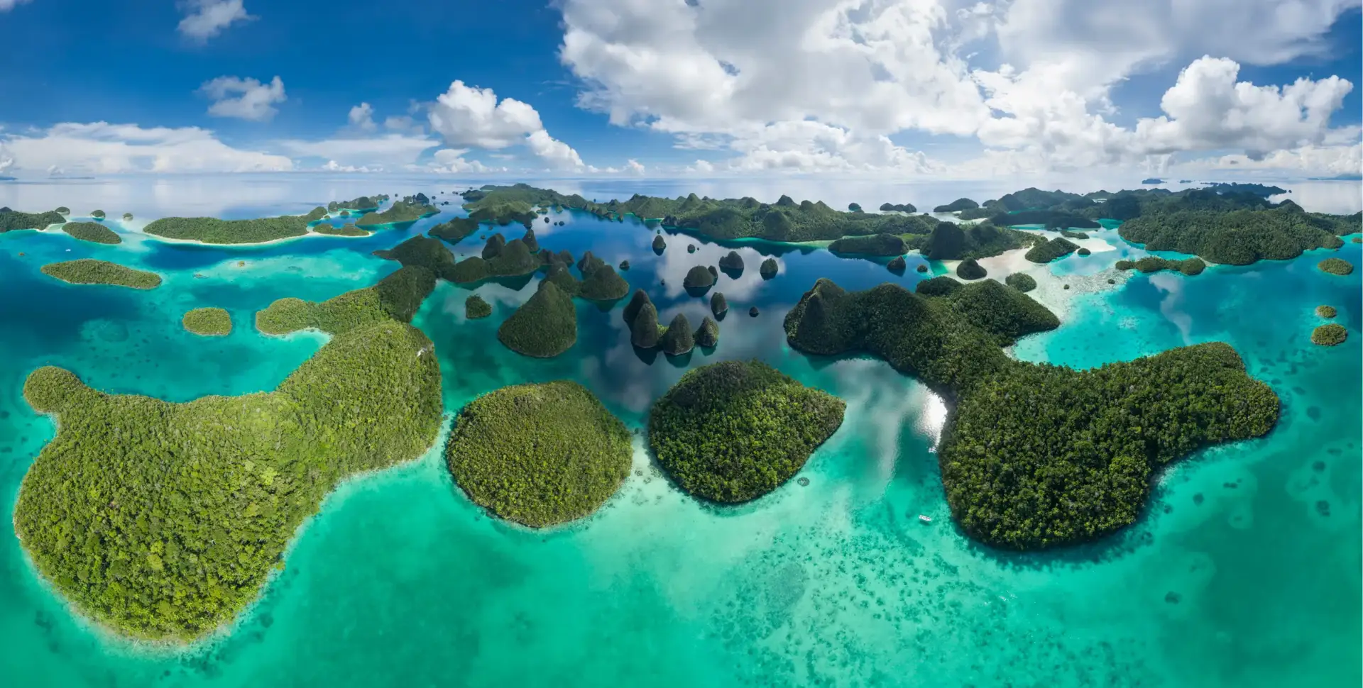 Best Time to Visit Raja Ampat: Month-by-Month for Diving, Snorkeling & Liveaboards